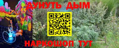 эйфоретик Краснодар