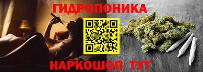 сатива Краснокаменск