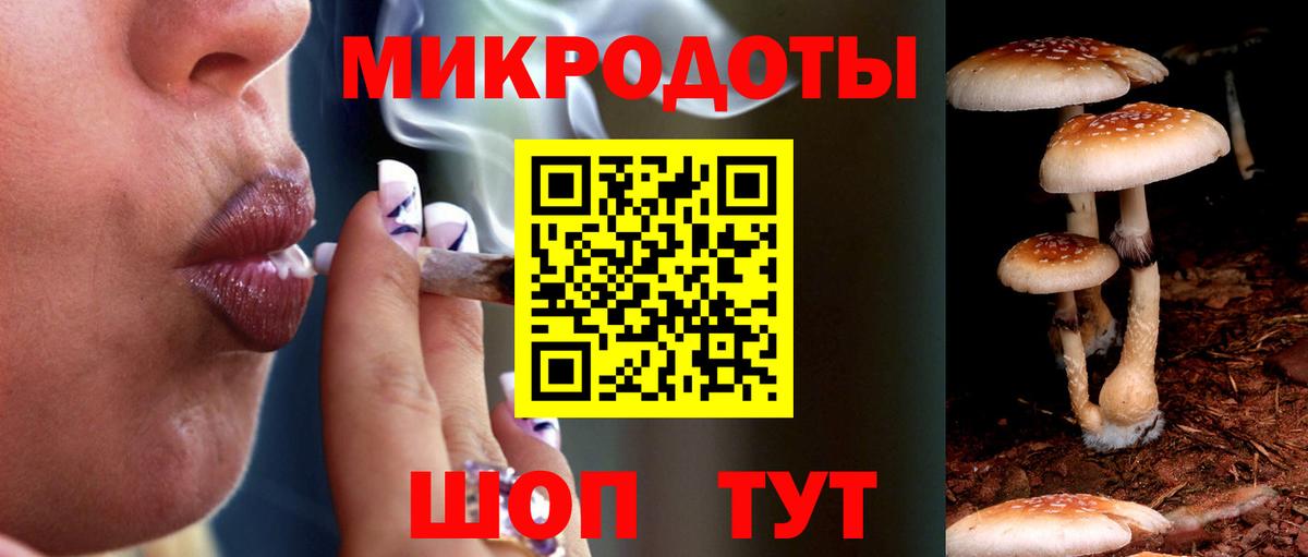 Псилоцибиновые грибы Psilocybe Щёлково